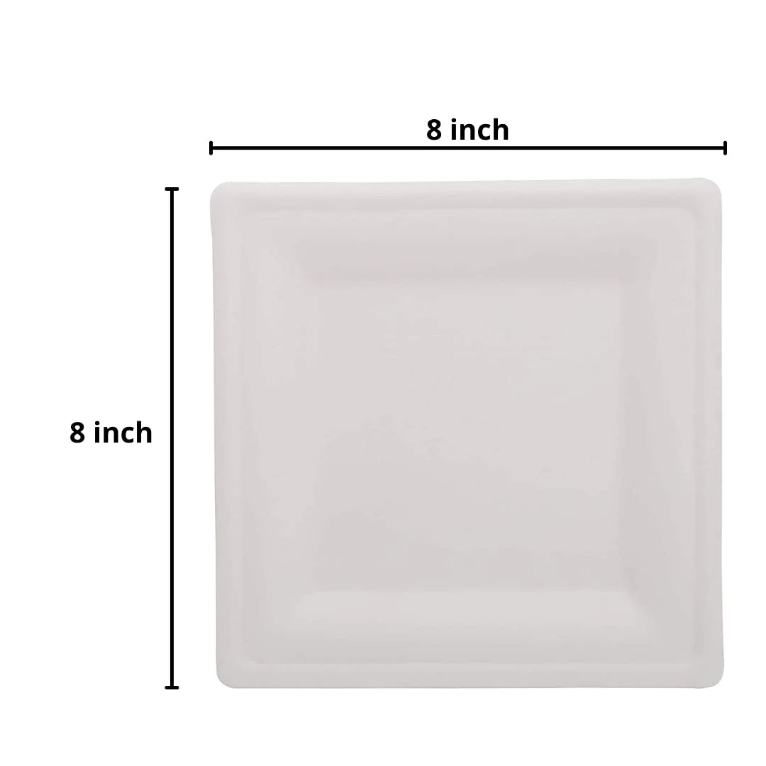 Square Plate 8 inches